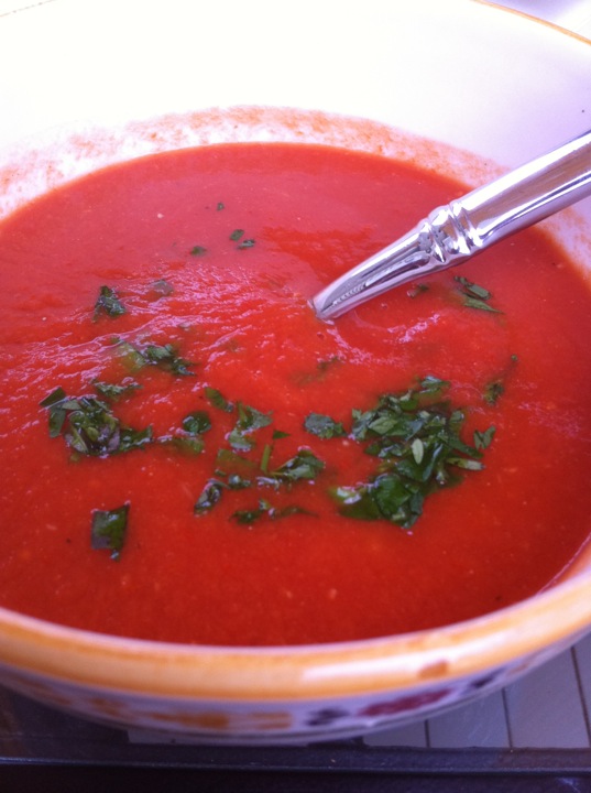 Garden Tomato Soup