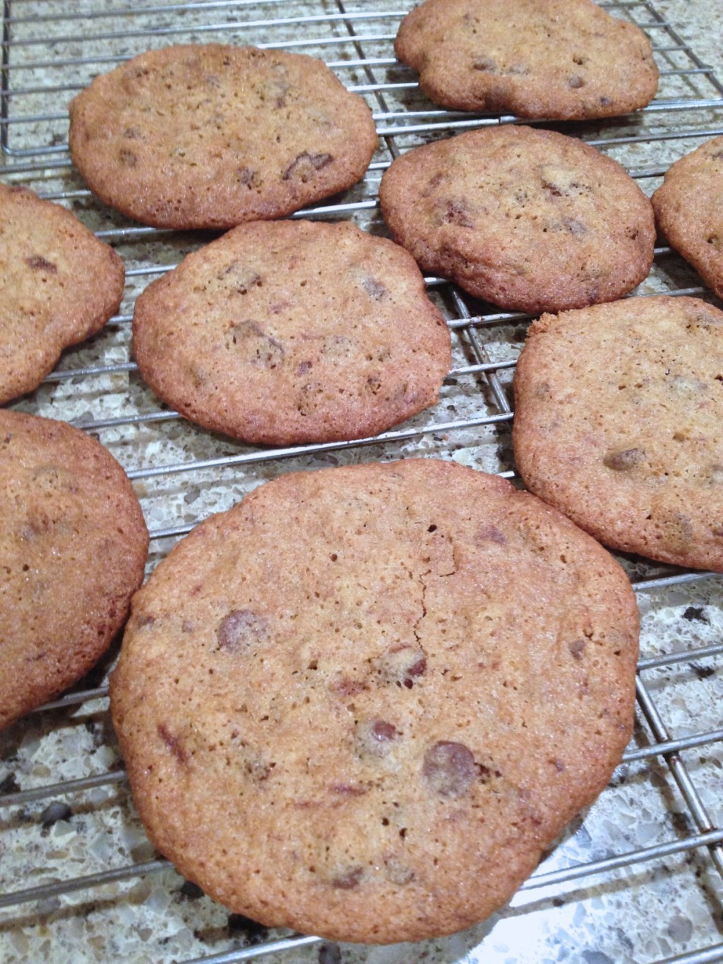 Gluten Free Chocolate Chip&nbsp;Cookies