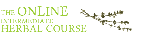 online-herbal-course-herbal-school-program