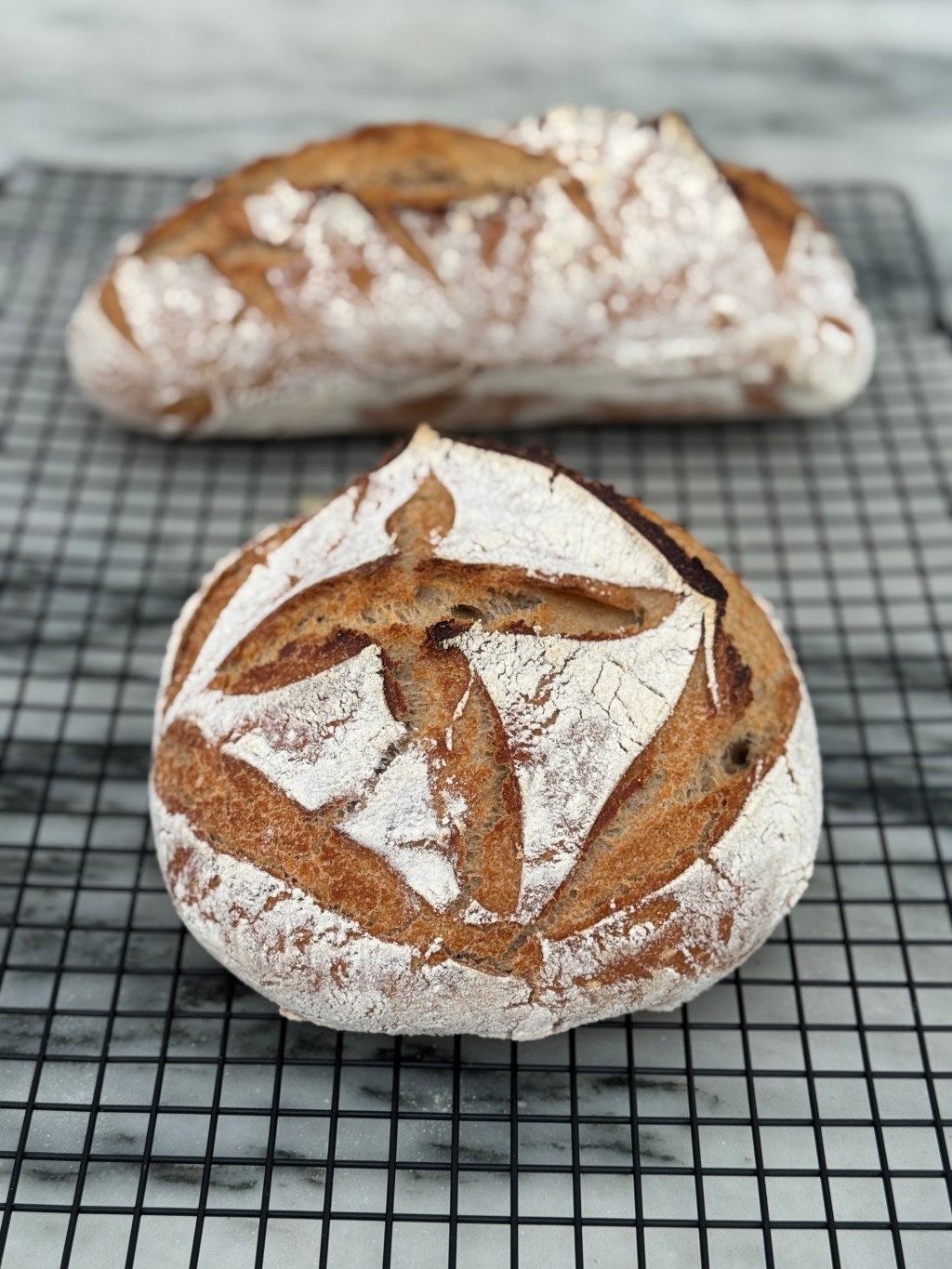 Sourdough Bread